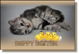 Wish to you all a very Happy Easter 